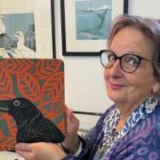 Self-taught artist and printmaker Sue Welfare's new exhibition is at Haddenham Arts Centre until the end of June.