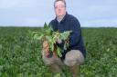 Fenland farmer and NFU Sugar board chairman Michael Sly says a 260,000-tonne tariff-free quota for raw cane sugar imports could be 'devastating' for the homegrown sugar beet industry