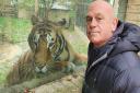 Cambridgeshire farmer Andy Johnson features in the new Ross Kemp ITV documentary ‘Britain's Tiger Kings’. Pictured: Ross Kemp with one of a collection of 5 rare Bengal Tigers at Heythrop Zoological Garden in Oxfordshire.