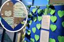 A display of green love hearts made by members of Ely City WI will be showcased in Ely Library during February to support climate change.