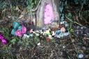 Haddenham resident Christopher Dodson says fairies have set up home in Merricks Lane, a footpath between the cemetery and Station Road. Picture: CHRISTOPHER DODSON
