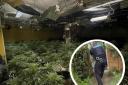 Police carried out warrant at the Wicken cannabis farm last month.