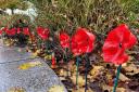Cadets transform recycled plastic bottles into poppies