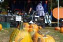 Soham’s annual pumpkin fair, which has been running since 1975, is back next weekend (Saturday, September 30).