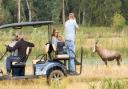 Visitors at Watatunga Wildlife Reserve can see rare animals on a self-drive buggy tour