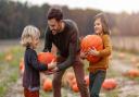 Pumpkin picking is one of the activities individuals can enjoy during the month of October.
