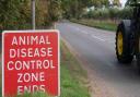A controlled zone has been put in place near a premises in Soham following a bird flu outbreak.