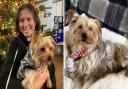 Cyril, a 10-year-old Yorkie, has been adopted by the Vicar of Soham, Revd Eleanor Whalley.