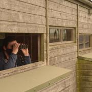 Welney Wetland Centre hides re-open on May 17: birdwatching from hide