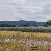 'This is a deeply unsatisfactory and unsuitable application' was how one senior councillor summed up proposals for giant solar energy farm straddling West Suffolk and Cambridgeshire.