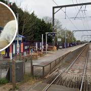 Concerns have been raised over whether the risk of relocating Waterbeach railway station would be too great for one authority. Inset: county councillor Alex Beckett said the authority appeared to be 