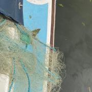 An illegal gill net was recovered from the River Great Ouse near Ely after it became entangled in the propeller of a boat.
