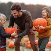 Pumpkin picking is one of the activities individuals can enjoy during the month of October.
