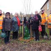 Members of the Ely Inter Wheel club and the ECDC team planting the tree for the Queen's Green Canopy.