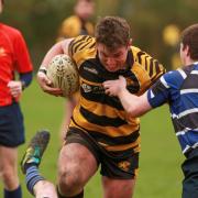 Jim Storey scored a try for Ely Tigers in their 66-7 win over St Ives.