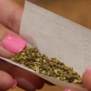 Children are arriving at schools in the Arbury, Kings’ Hedges, West Chesterton, and East Chesterton areas of Cambridge smelling of cannabis after walking past people dealing drugs in the morning, a teacher has claimed.
