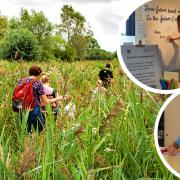 Wicken Fen Nature Reserve in Ely, Cambridgeshire, is one of ten National Trust properties partnering with Save the Children UK to host a series of events that will highlight the climate crisis.