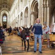 Ely Cathedral’s annual pet service is taking place this Sunday (September 24) at 2pm.