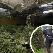 Police carried out warrant at the Wicken cannabis farm last month.