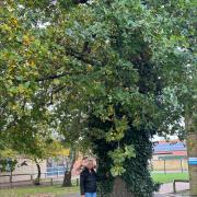 Cllr Julia Huffer beneath an oak tree