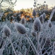 Julia Rigby captured this frosty morning in Huntingdon.