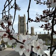 Claire O'Connor took this beautiful Spring photo in Ely.