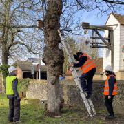 Volunteers joined Cllr Tony Chouler to put up bird boxes and a bug hotel at St Andrew’s Church, Soham