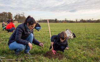 Applications for trees to be delivered to schools in Spring 2023 by the Woodland Trust are now open.