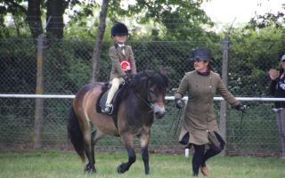Six-year-old Lewis Cousins rode Badleybridge Ab Fab in the Pnoy of the Year and was led by his mother, Christina Gillett.