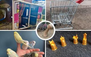 From tamed budgies to a food truck, here are just a few of the utterly unexpected items we found up for grabs in Ely.
